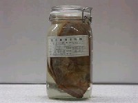 藏品(日本的鯛)的圖片